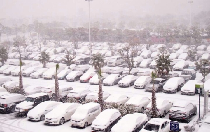 제주공항 상황 | 인스티즈