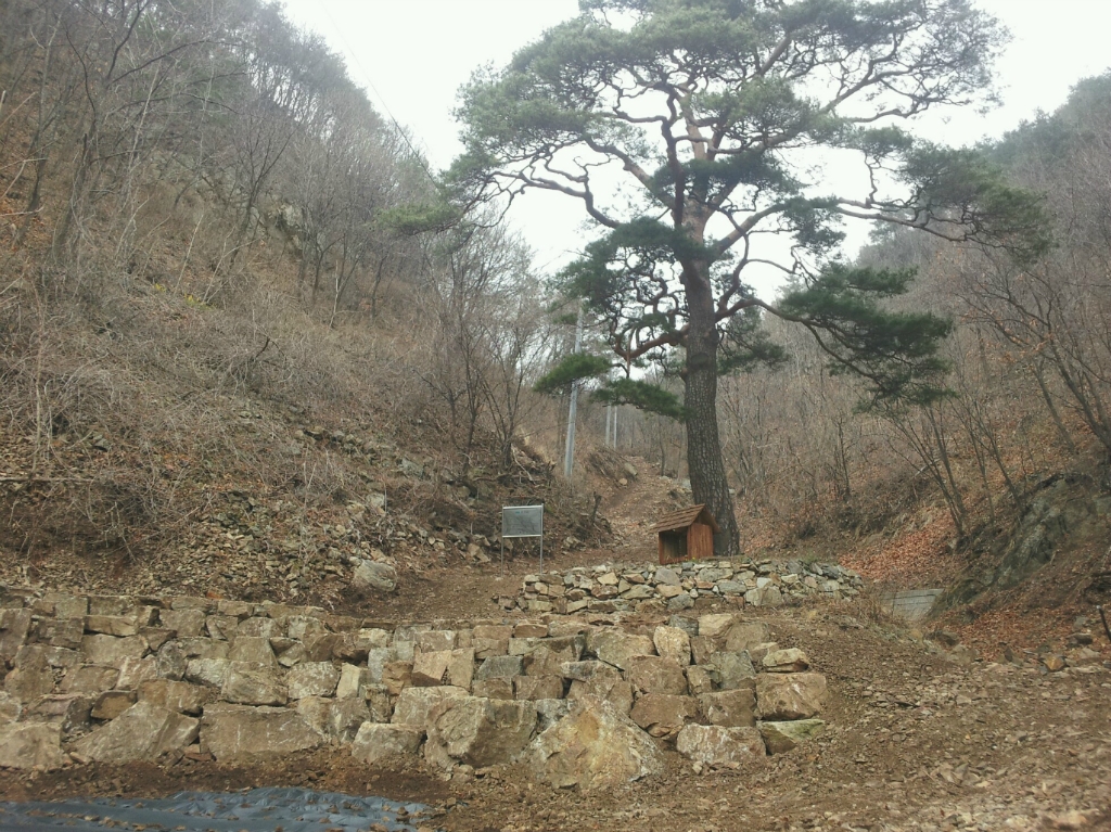 하늘꽃농원 이미지
