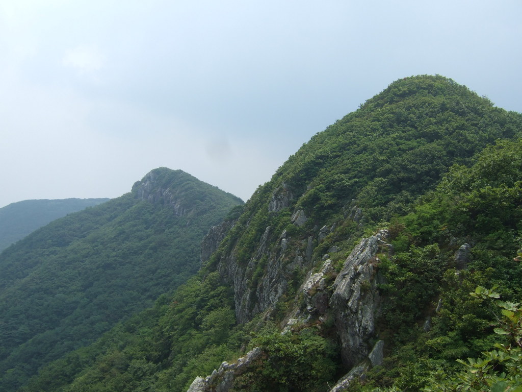 삼거리다방 이미지