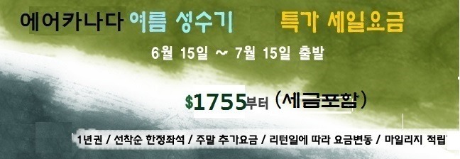 오렌지여행사 이미지