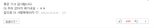 반려견이 당신을 사랑할 때 하는 행동 10가지 | 인스티즈