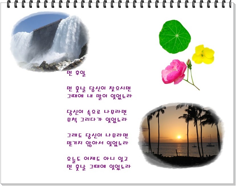 소월 이미지