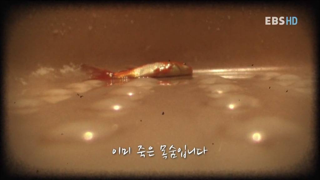자본주의 속 우리의 현실 상황... 공감되서 소름 돋네요.. | 인스티즈