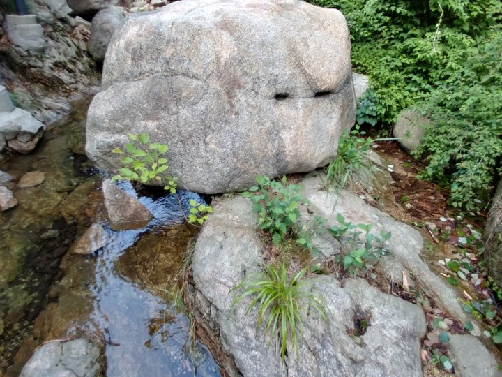 아차돌 이미지