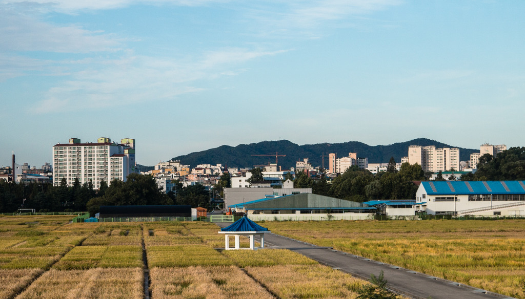 말티가는길 이미지