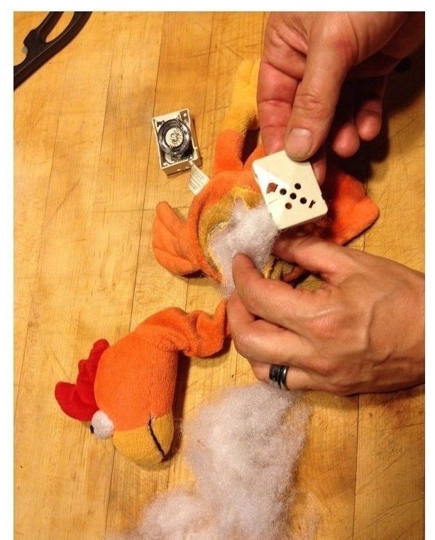 우리집 멍멍이의 닭장난감 수술기.jpg | 인스티즈