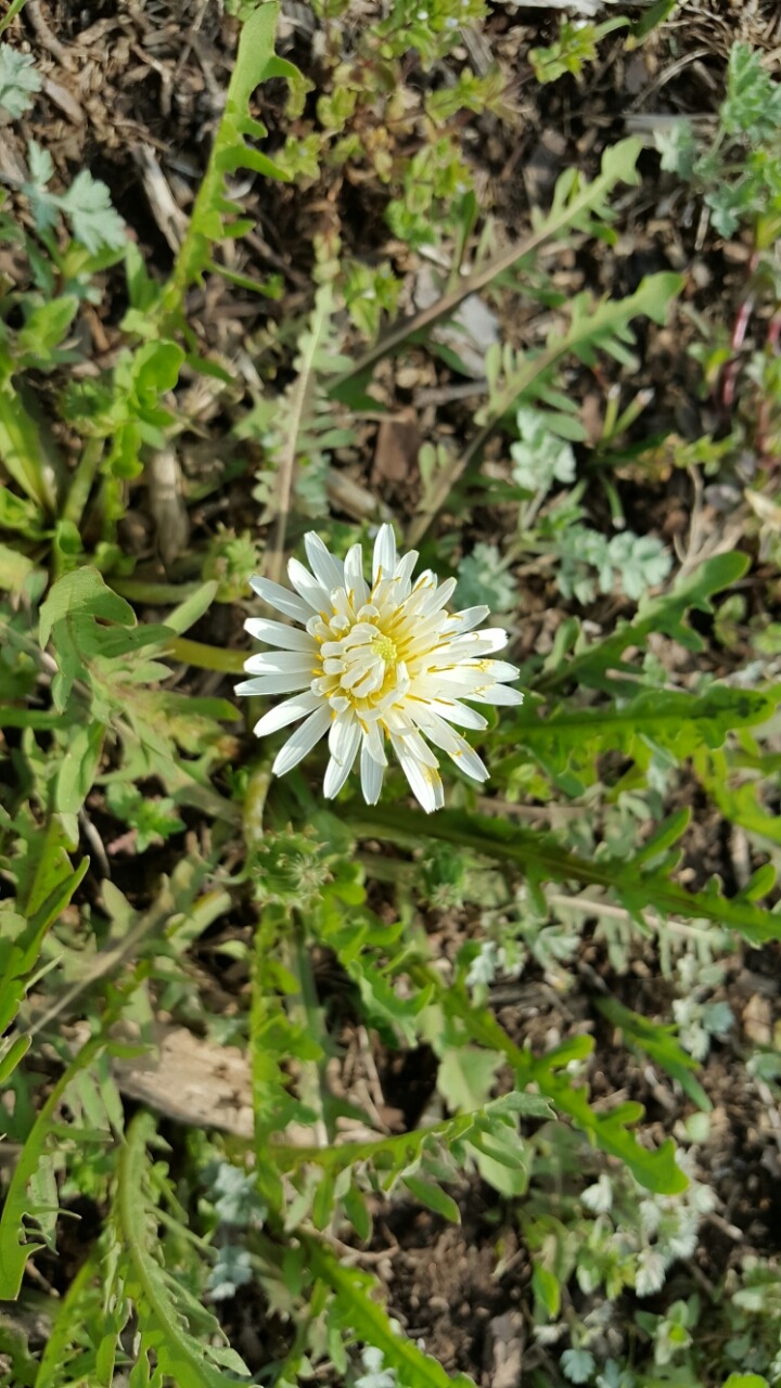 자굴산사랑펜션 이미지