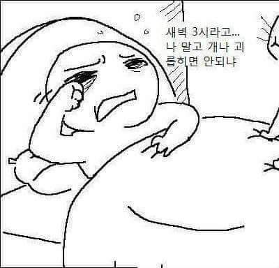 고양이 공감 (욕주의) | 인스티즈