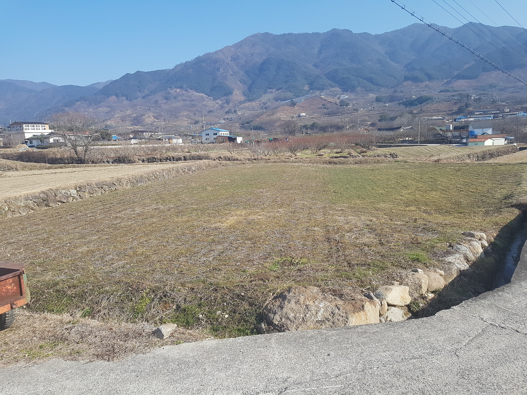 정서리 이미지