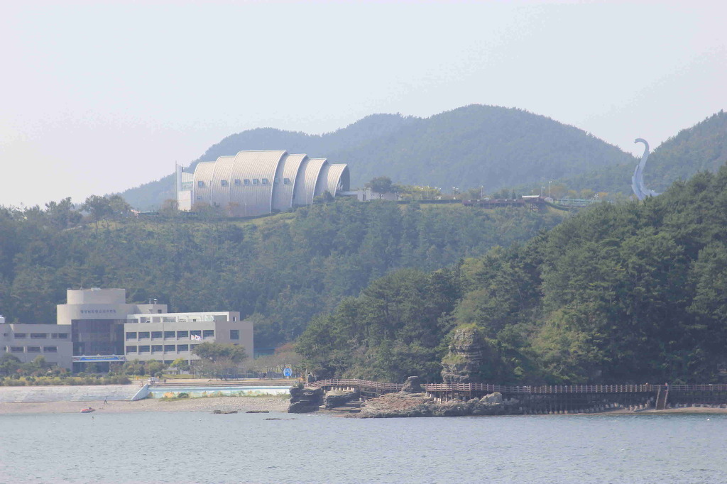 숲길 전경 이미지
