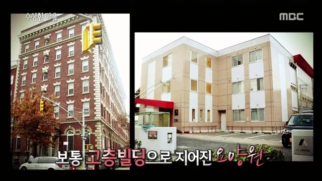 풍차국의 치매 요양 마을 | 인스티즈