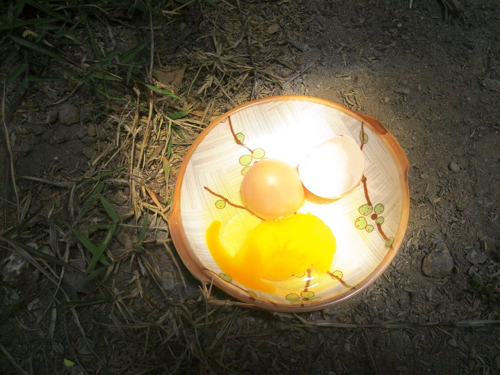 플러스닭 이미지