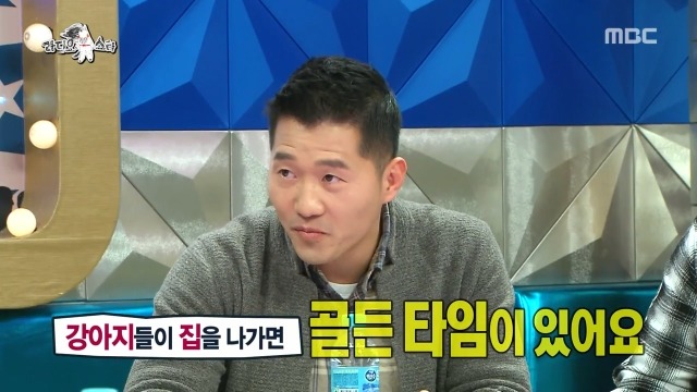 잃어버린 강아지 찾을 수 있는 골든타임 | 인스티즈