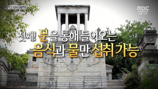  1년만 하면 270억 받는거 도전 한다vs안한다 | 인스티즈