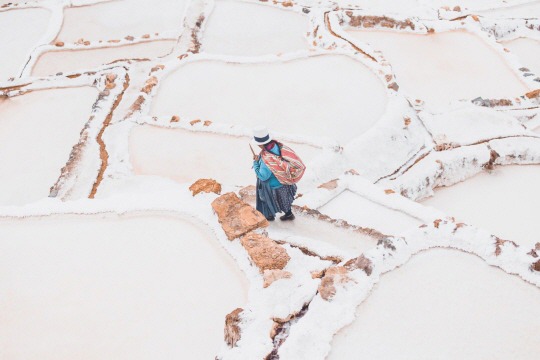  나, 오늘 별자리에 들고 말았네﻿ | 인스티즈