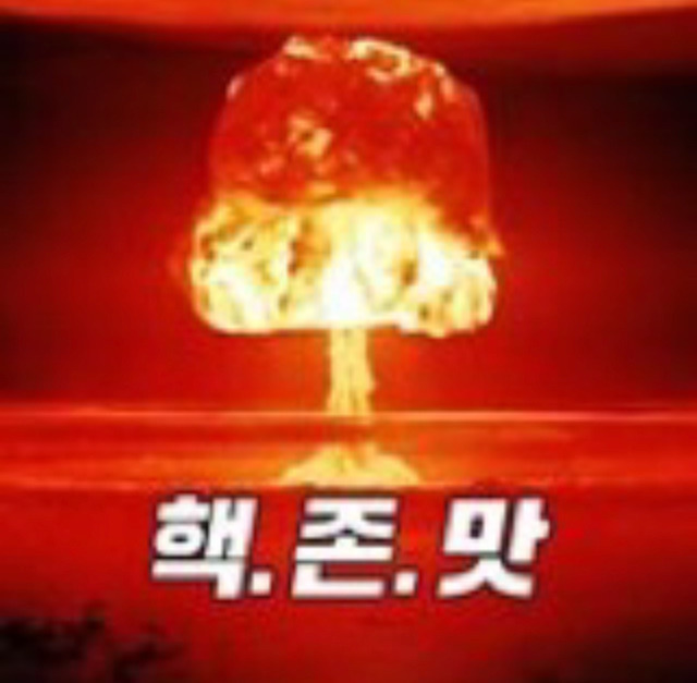 어느 쭉빵회원의 떠먹는 아이스홍시 구매후기.jpgif | 인스티즈