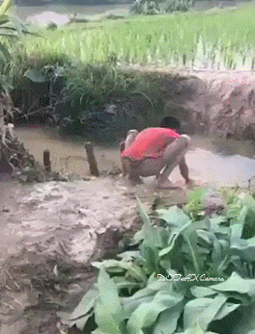 중국이 낳은 끔찍한 혼종 | 인스티즈