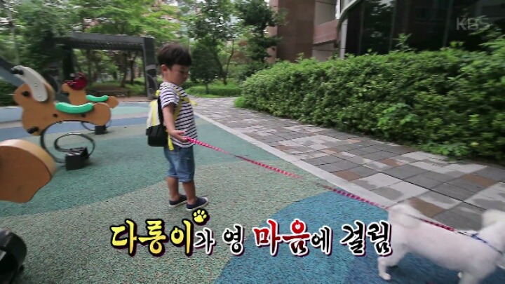 댕댕이 한테 미안해서 미끄럼틀 타러 못가는 대박이 ㅋㅋㅋJPG | 인스티즈
