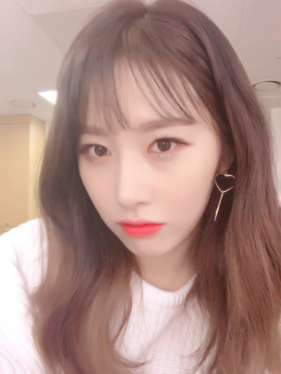 소나무 의진.jpg | 인스티즈