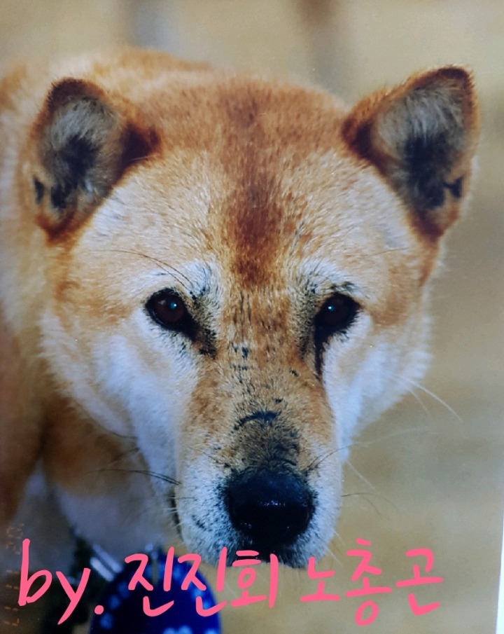 만강 이미지