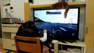 만 4살 여자아이의 운전실력.gif | 인스티즈