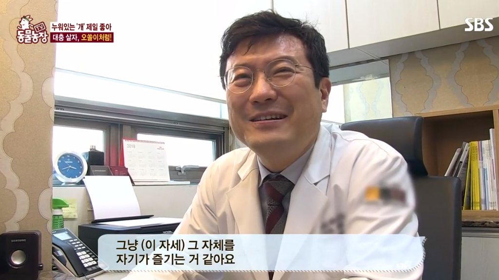 [동물농장] 누워있길 좋아하는 강아지 오쏠이 | 인스티즈