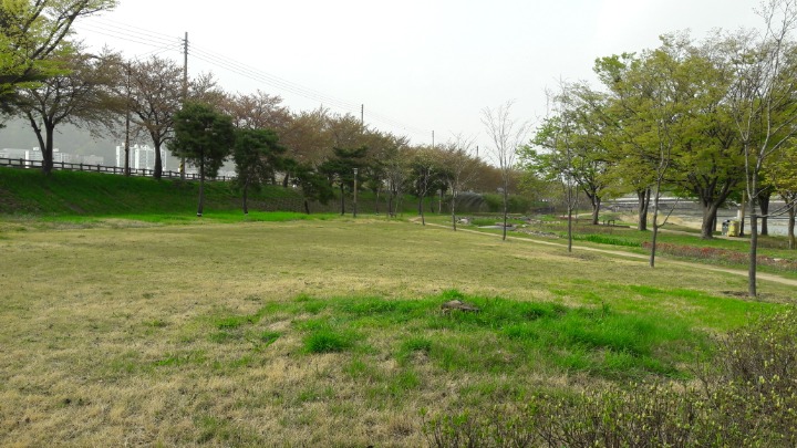 잔디밭 이미지