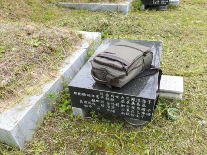 진성조경 이미지