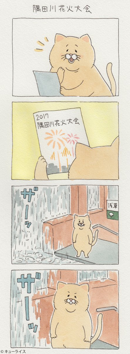 뭐든지 안 되는 고양이 시리즈.jpg | 인스티즈