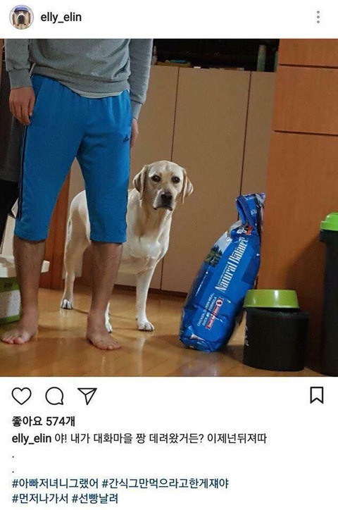 개스타그램 이미지