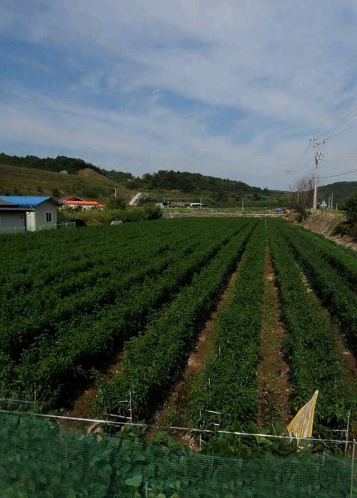 남안동IC 이미지