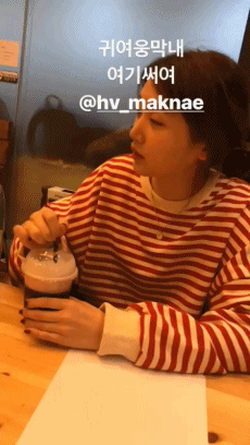 라임스토리 이미지