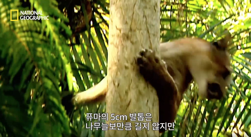 나무늘보 미워하지 않았으면 좋겠는 이유...jpg | 인스티즈
