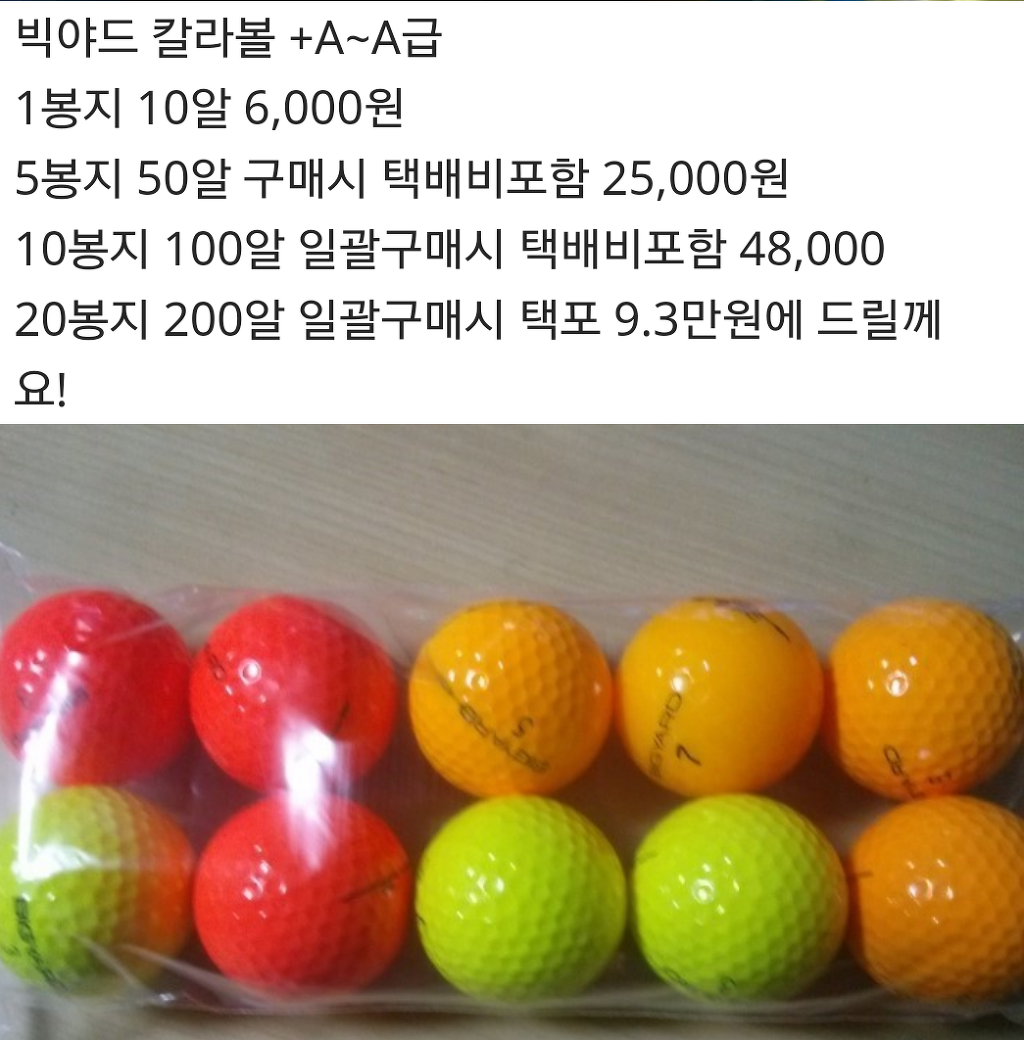 이글엑스 이미지
