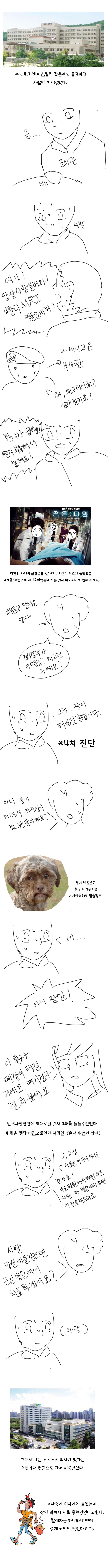 군대에서 맹장 터진 만화.jpg | 인스티즈