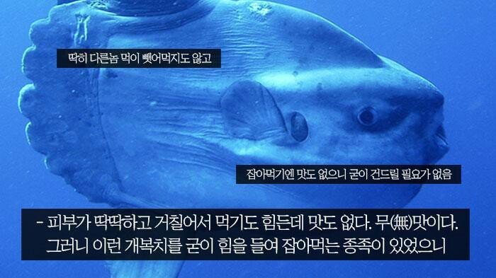 인간이 만물의 영장인 이유 | 인스티즈