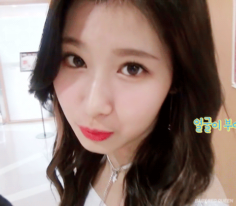 트와이스 사나 | 인스티즈