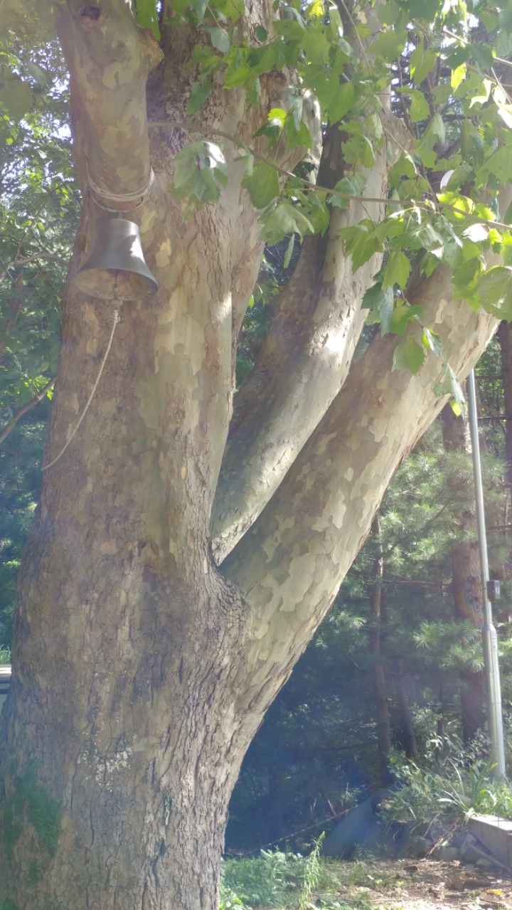 학교민박 이미지