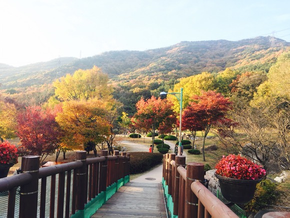 화명수목원 이미지
