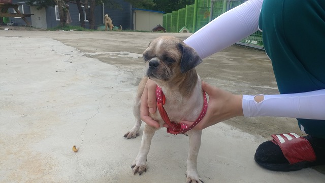 학창서림 이미지