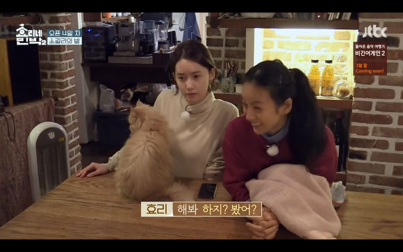 [효리네민박] 윤아와 눈인사 잘해주는 고양이 삼식이ㅠㅠ.gif | 인스티즈