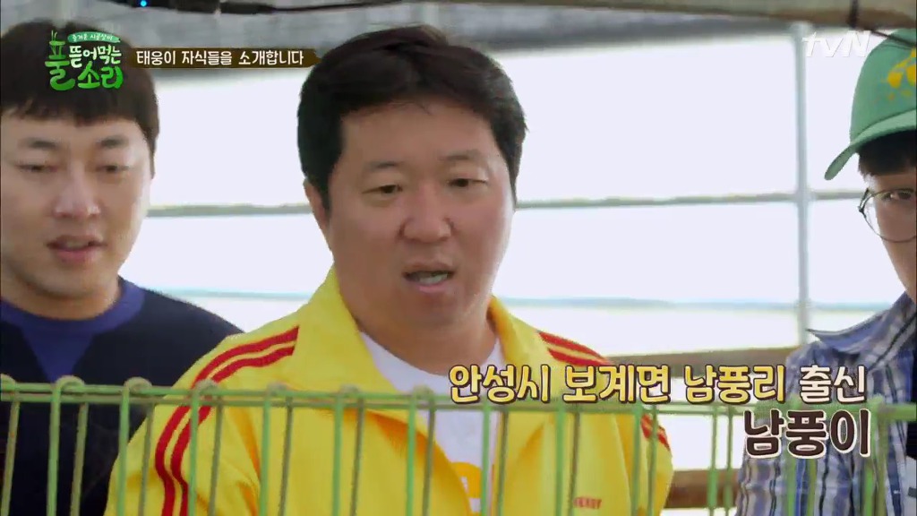 [풀뜯어먹는소리] 닭에서 시작해 소까지 살 수 있게 된 중딩농부 태웅.jpg | 인스티즈