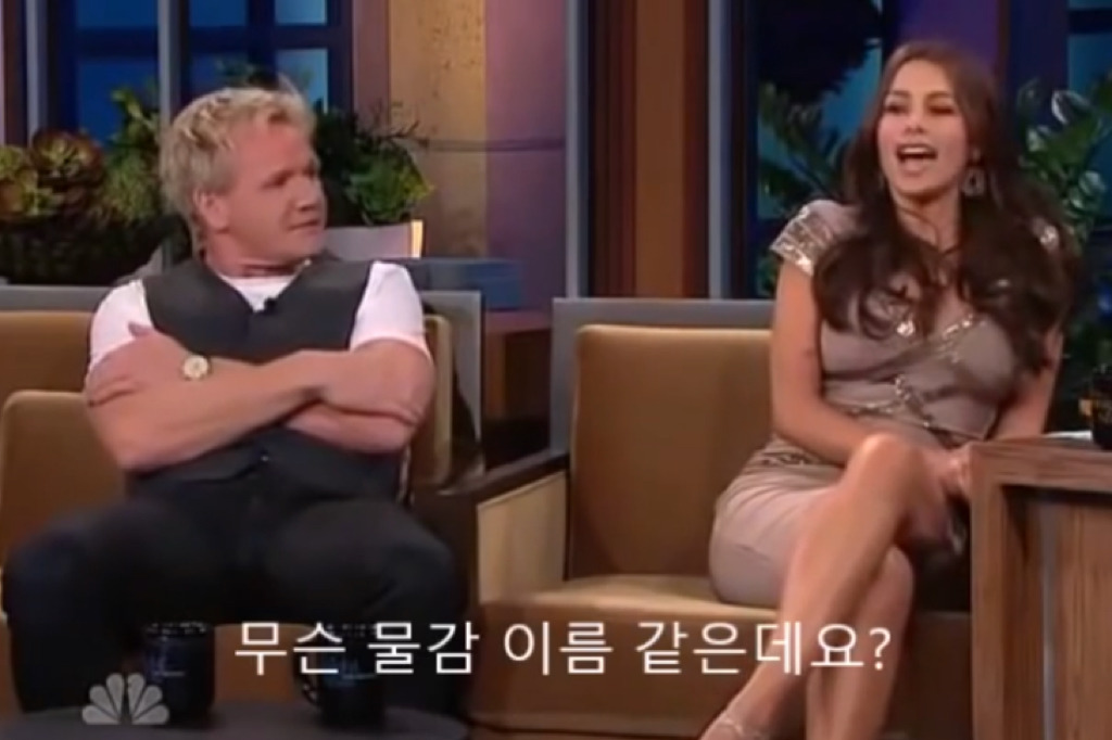 고든램지가 소피아베르가리한테 드립친 수준 .jpg | 인스티즈