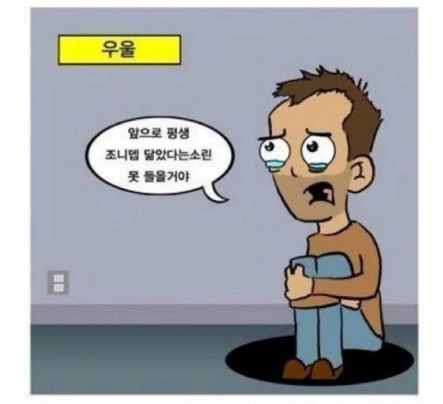 대머리 수용 5단계.JPG | 인스티즈