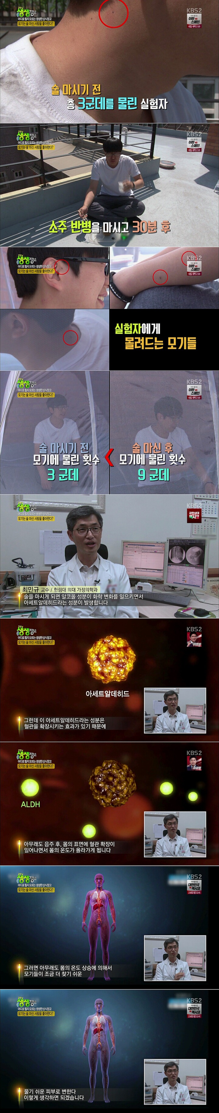 모기가 안사랑하게 하는법 | 인스티즈