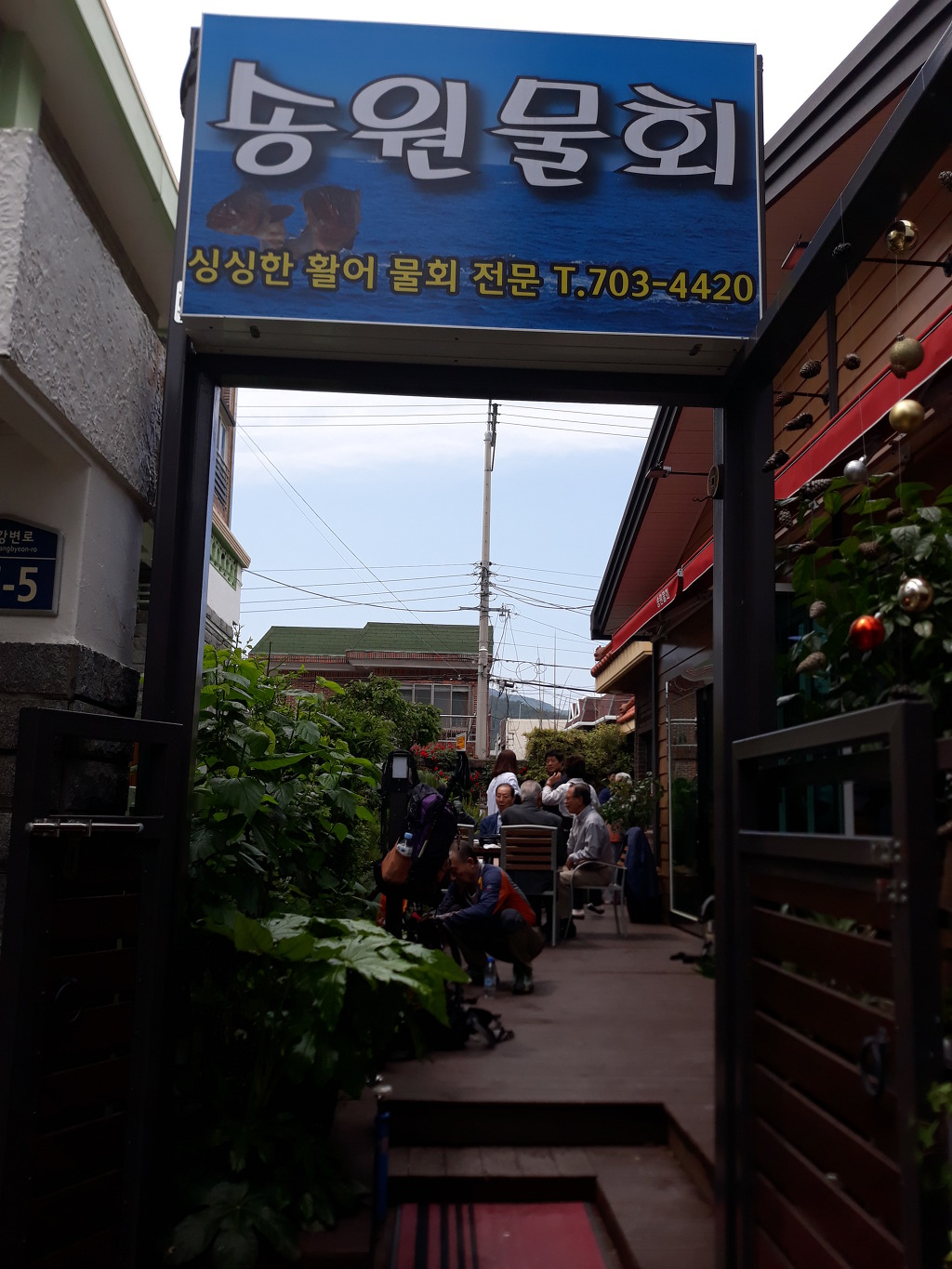 송원물회 이미지