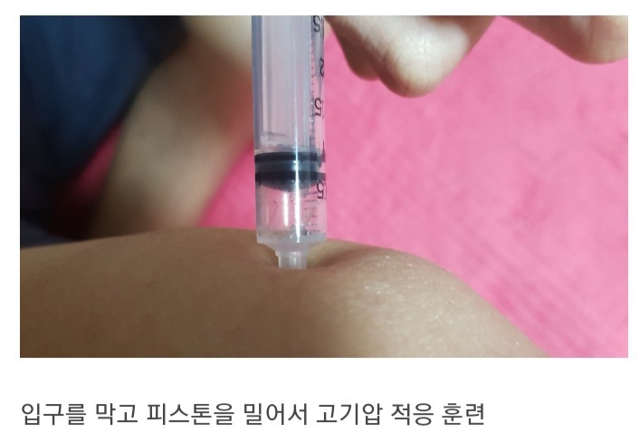 모기를 생포했어요 | 인스티즈