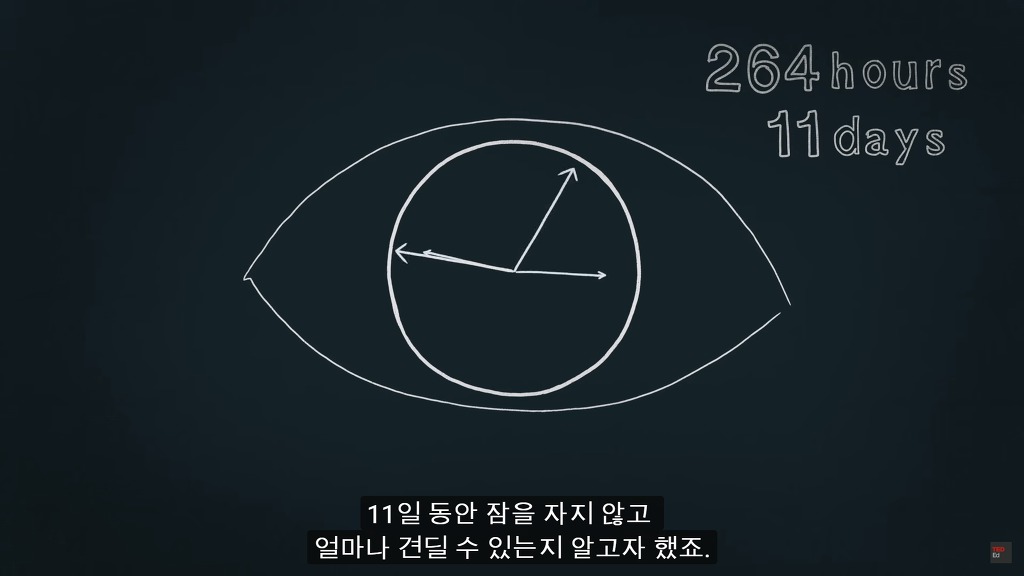 잠을 자지않는다면 우리몸에 어떠한 변화가 일어날까?.JPG | 인스티즈