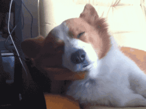챔스결승 기다리다가 잠깐 졸았는데 아침일때.gif | 인스티즈