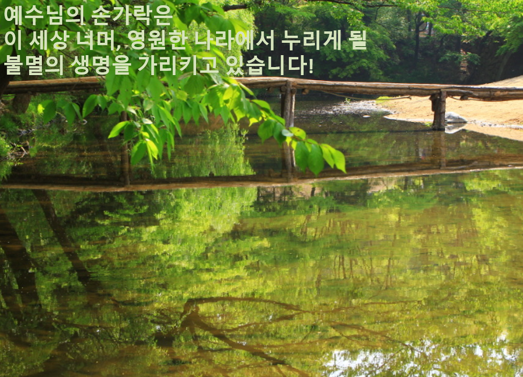 손가락세상 이미지